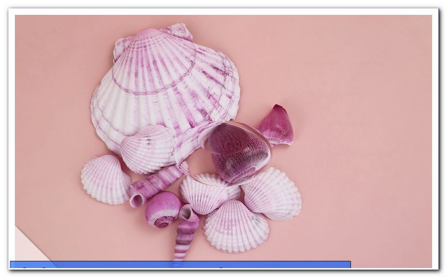 Crafts with stones and shells - ideas for children
