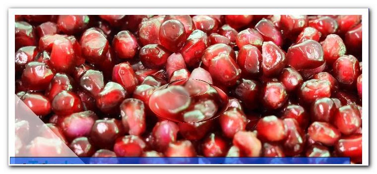 How to eat a pomegranate - core it made easy!