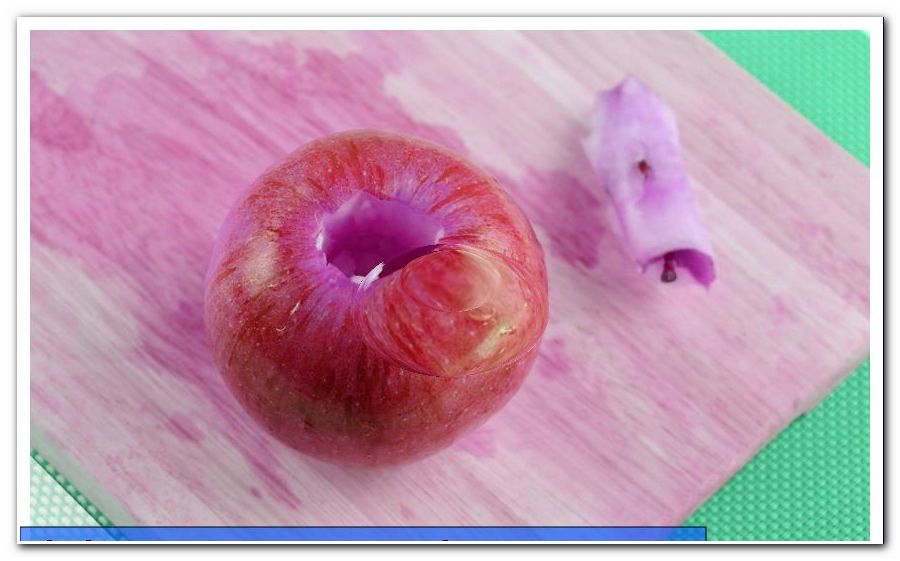 Dry apple rings yourself - this is how you make apple slices - Crochet baby clothes