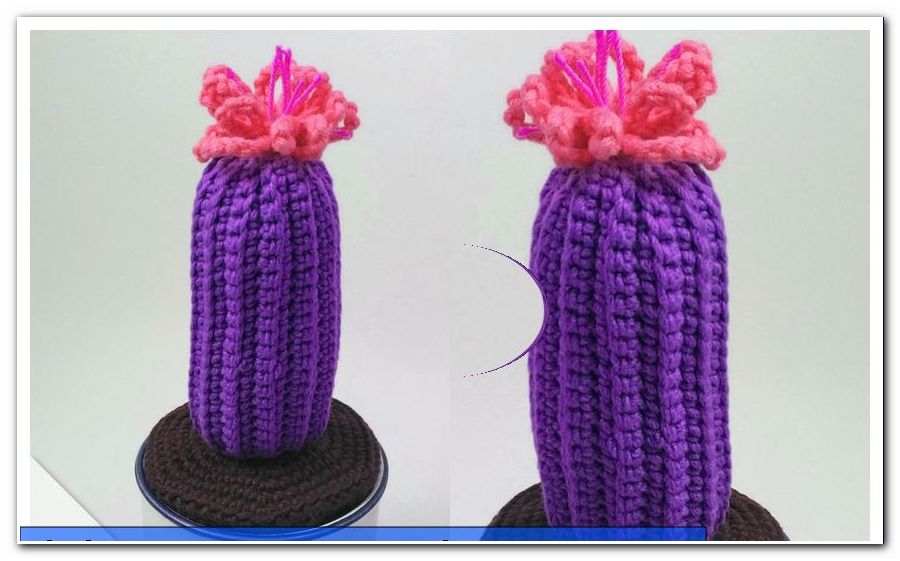 Crochet Cactus - Instrucciones para un crochet cactus - general