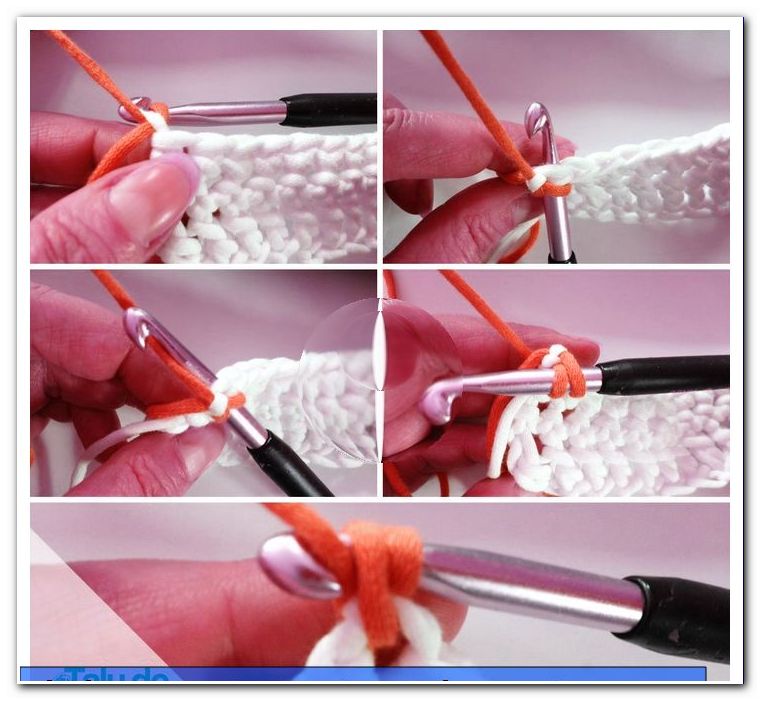 Com aprendre a crochet the malla del càncer - Guia de bricolatge - general