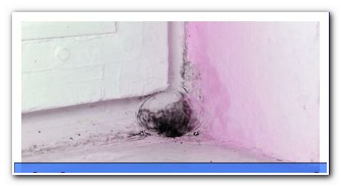 Remove foxing - so you get rid of mold stains! - general
